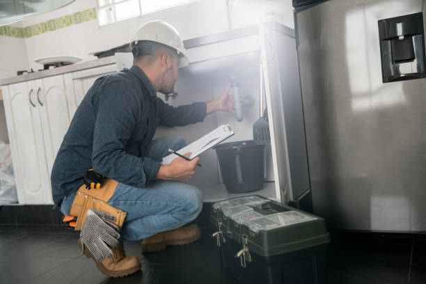 Best Local Plumber Services  in Camp Point, IL